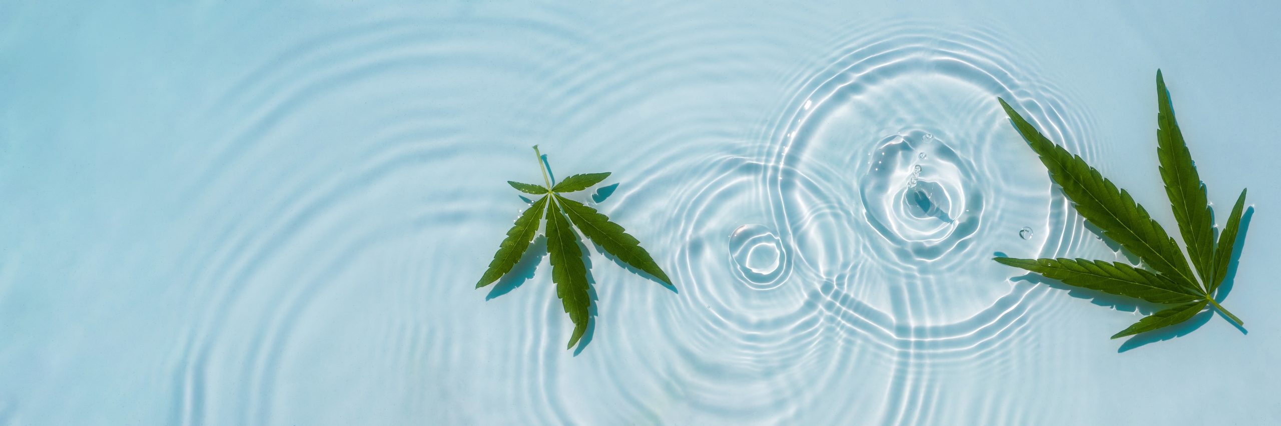 Blue,Water,Background,With,Drops,,Waves,And,Leaves,Of,Hemp,